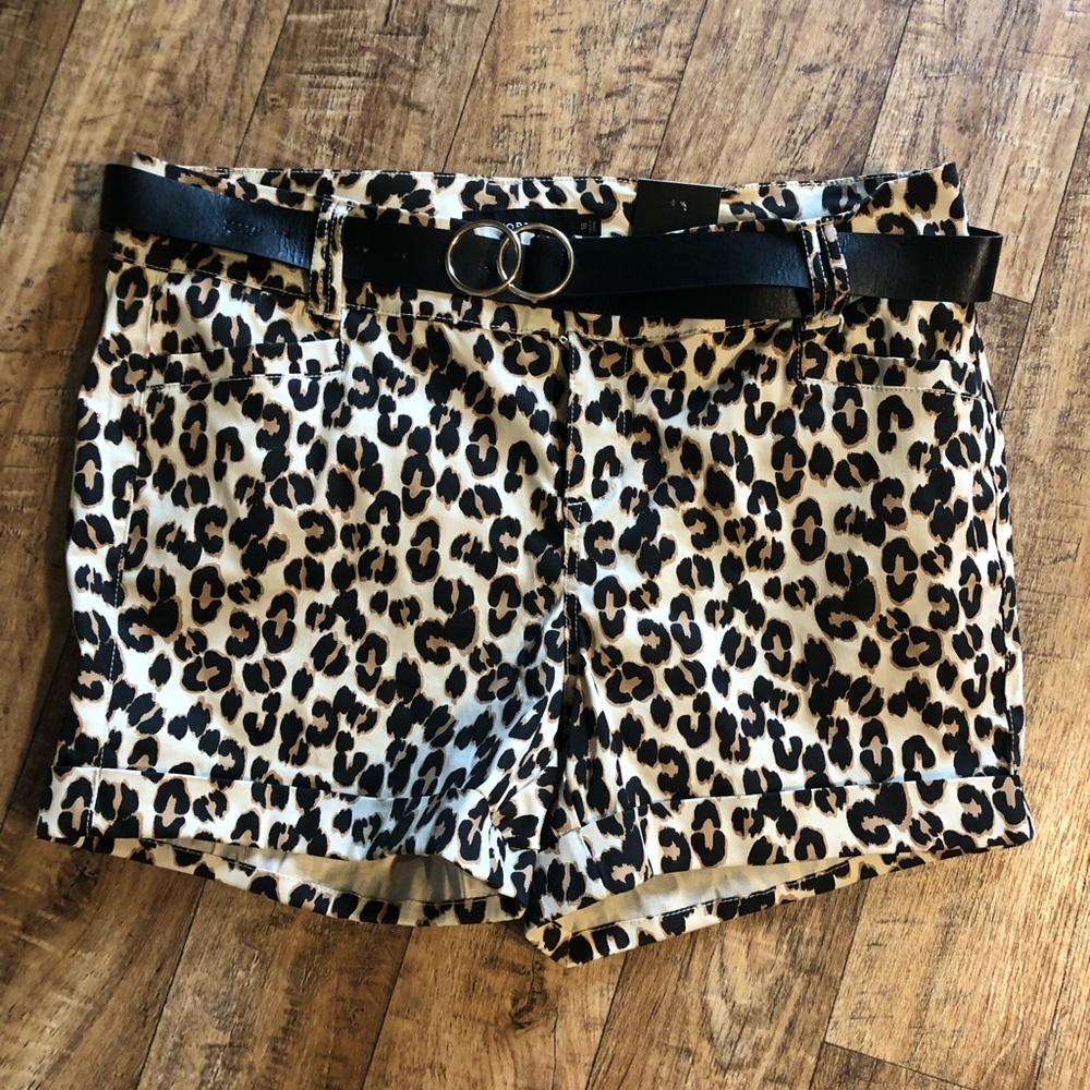 New torrid shorts